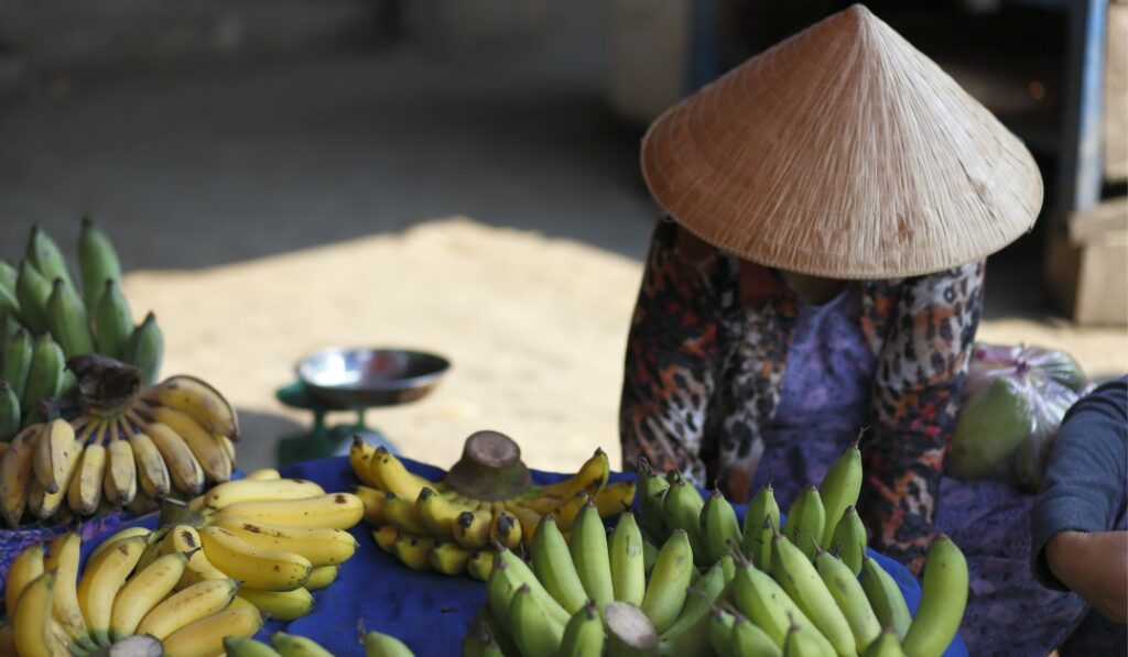 ベトナム食文化を知ると選びやすい