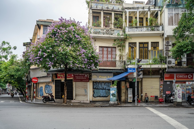 ベトナム土産でジャコウネココーヒーを買うならココ!