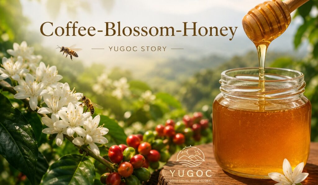 coffee honey｜YUGOC STORY